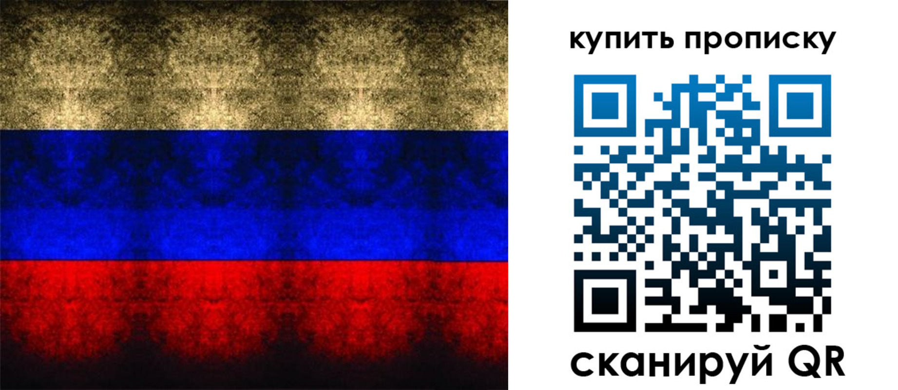 прописка в Ершове